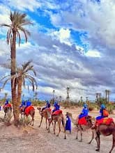 Quadmarrakechtrips 4