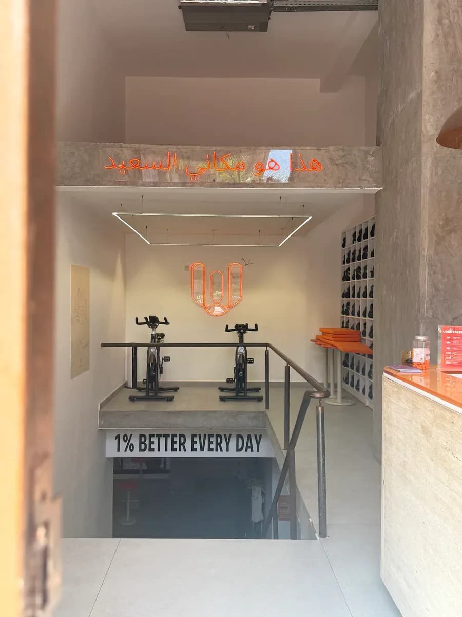 Elevate Cycle 3