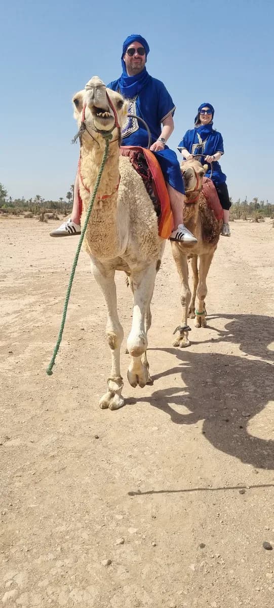 Camel Ride Marrakech 2