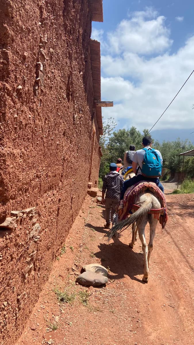Aventura a lomos de mula por los paisajes rurales del Alto Atlas