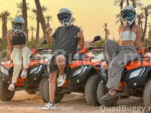 Quadbuggy 5