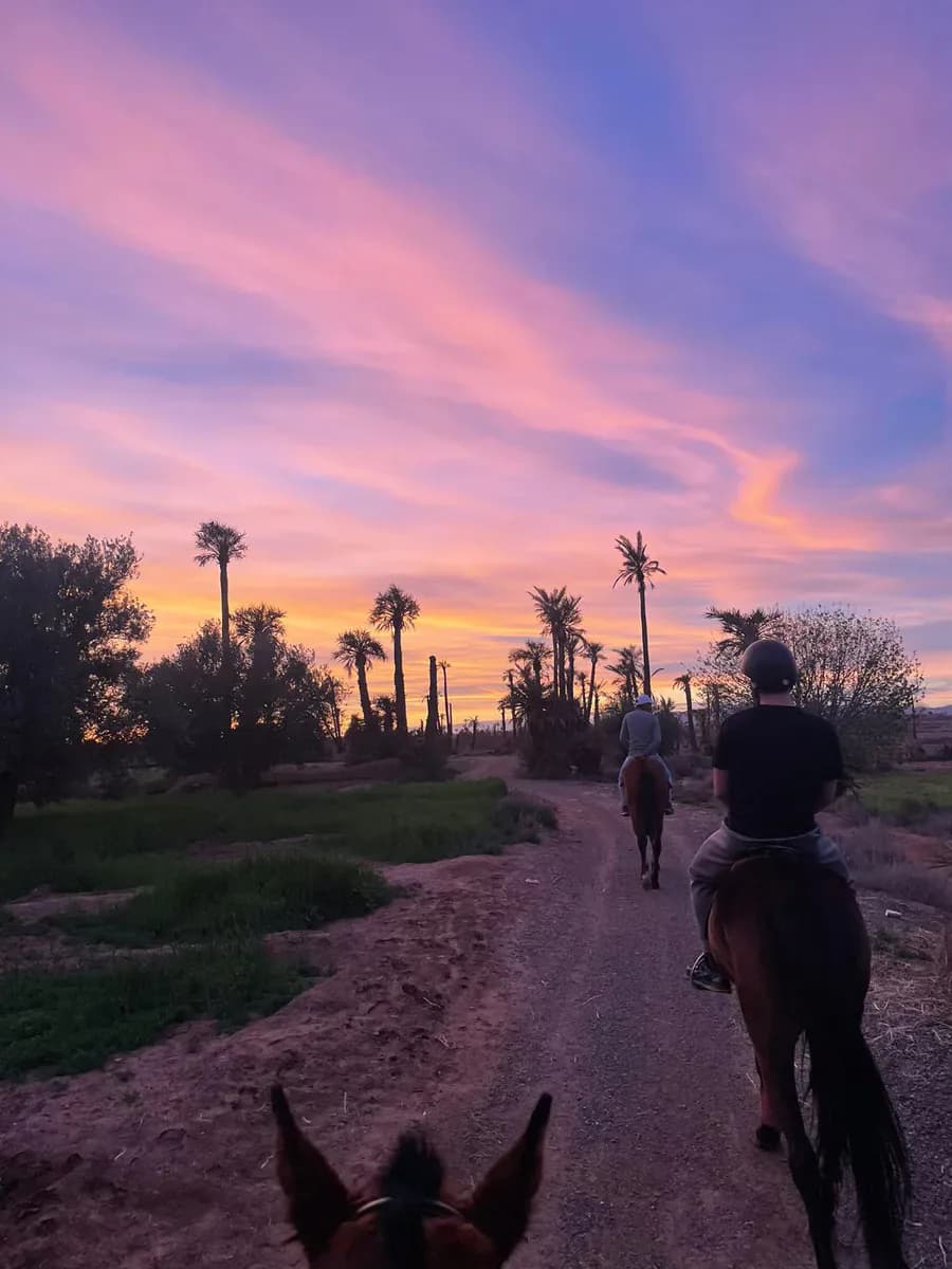 Horseback Riding Through Morocco’s Palm Groves