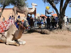 Quad Biking Through Morocco’s Palm Desert