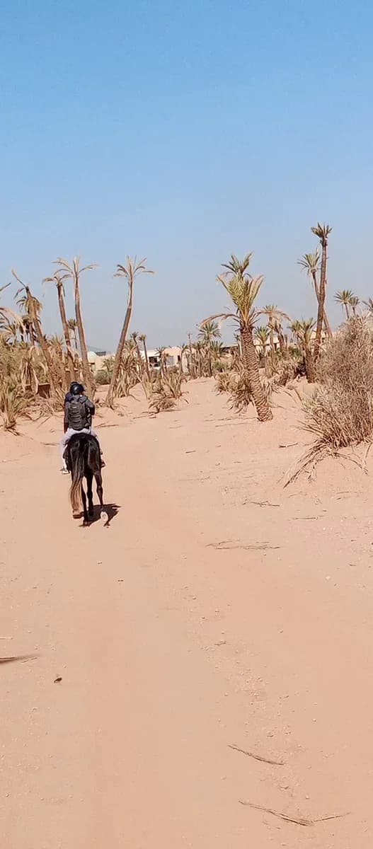 Equitation Marrakech Palmeraie 3