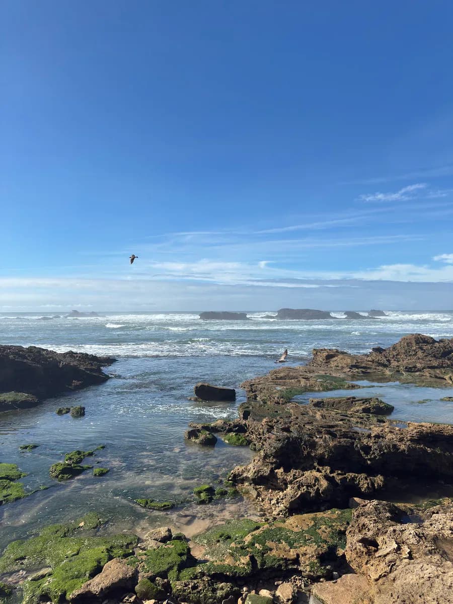 Moroccan Heritage, Kasbahs & Atlantic Coast