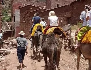 Marrakechtours 2
