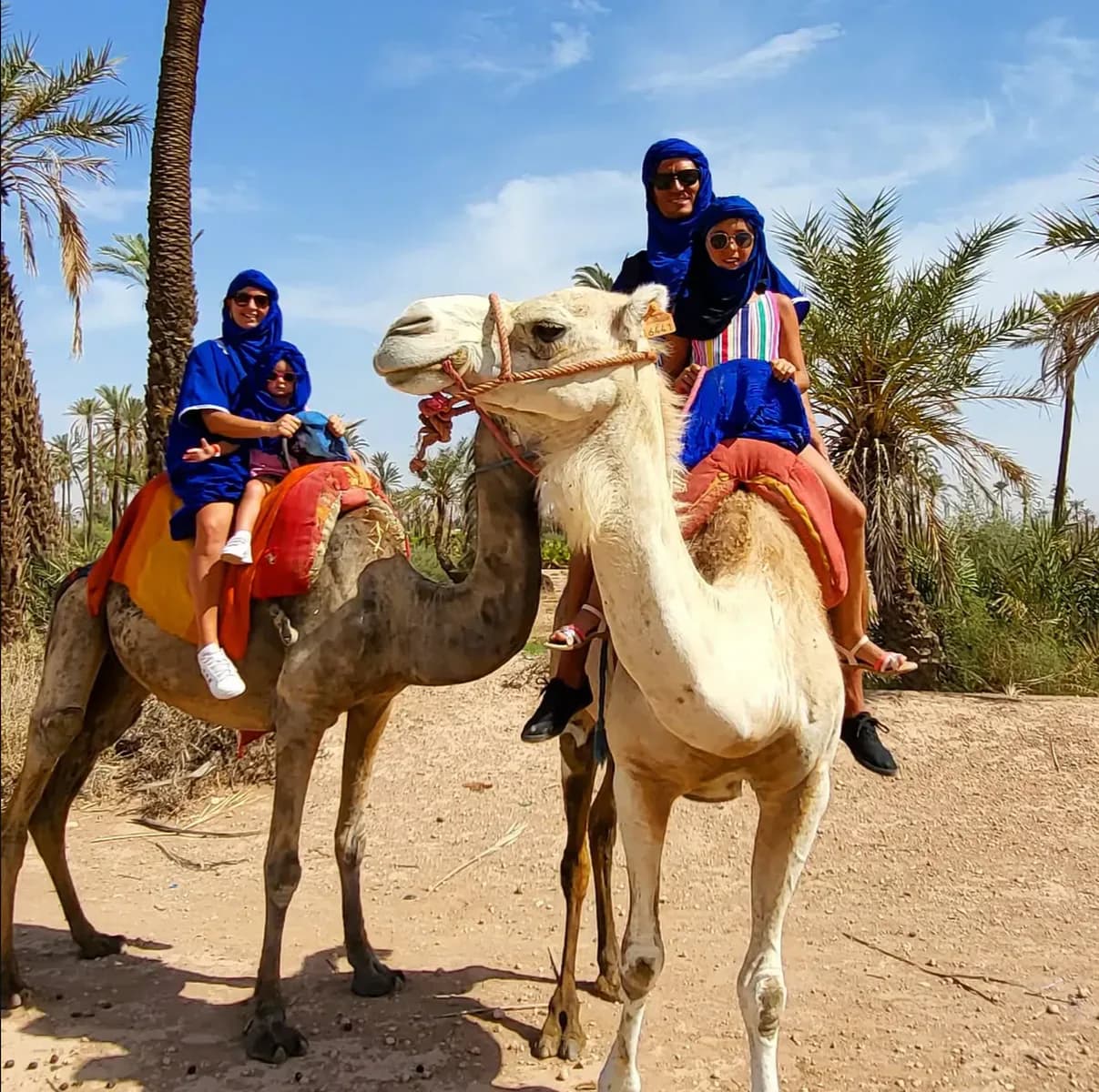 Camel Ride and Quad Biking Through Morocco’s Palm Oasis