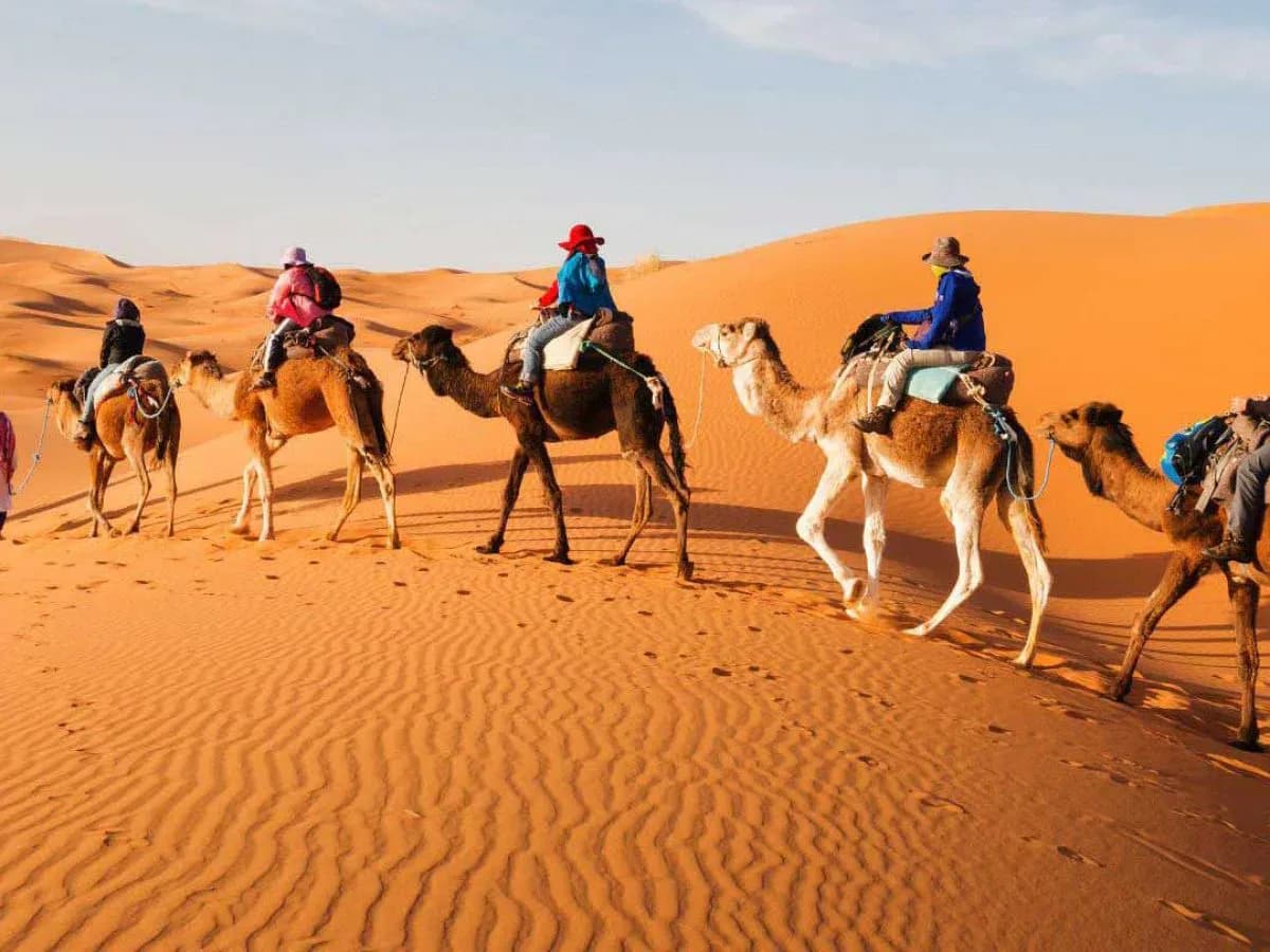 Camel Ride Marrakech 3