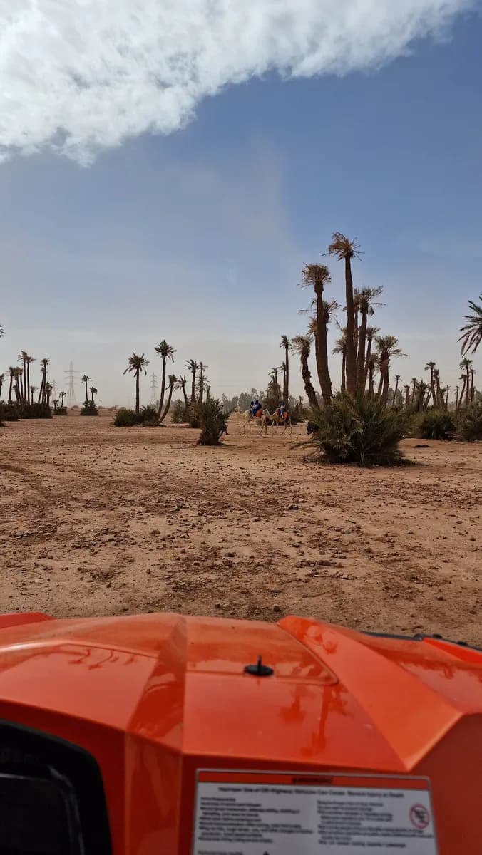 Palmeraie Quad & Buggy Tours - Marrakech 4