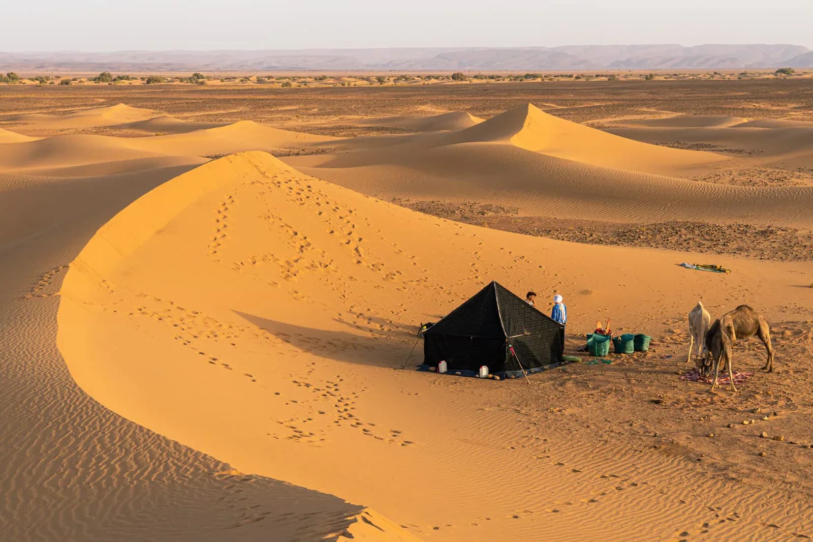Overnight Moroccan Desert Camp Escape