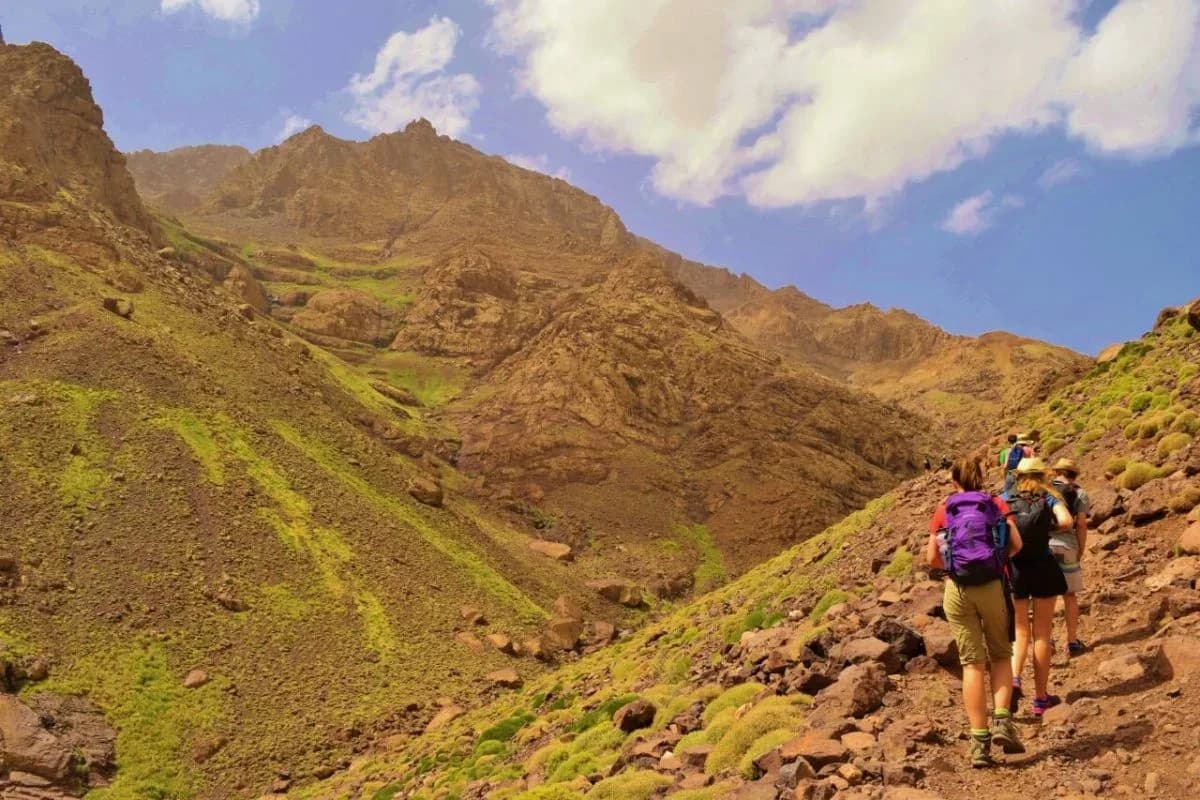 Toubkal Local Guide 4