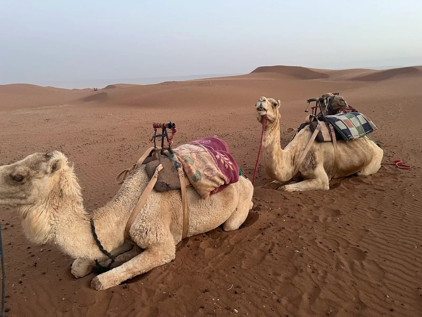Morocco Sahara Tours 2