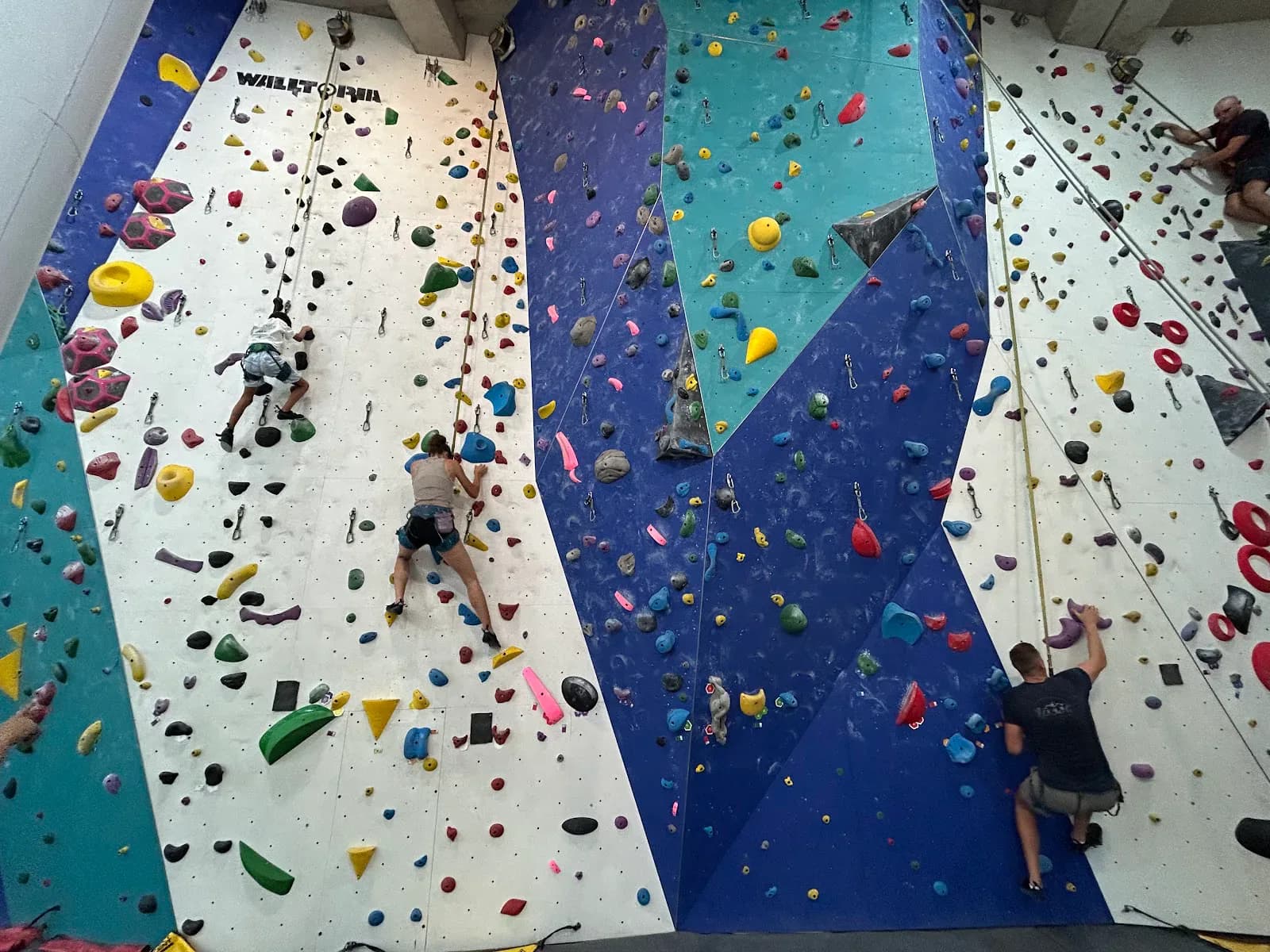 Atlas Elevation - Salle d'escalade 2