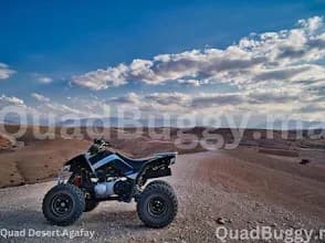 Quadbuggy 3