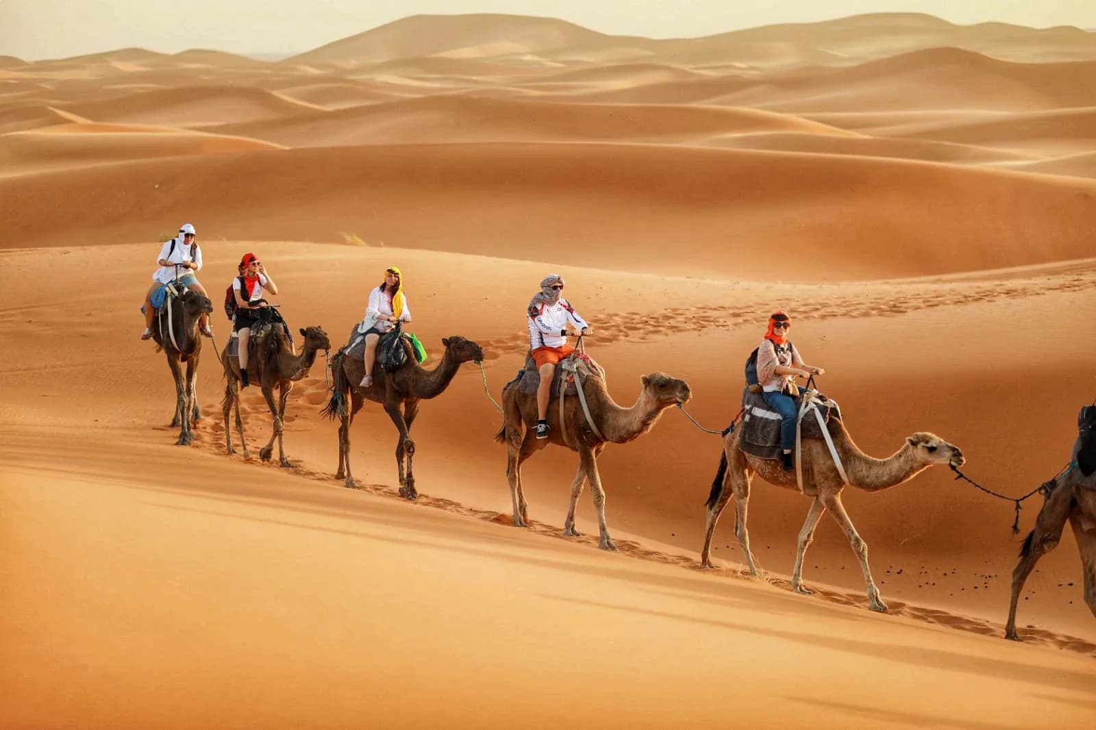 Camel Caravan and Desert Camp Adventure