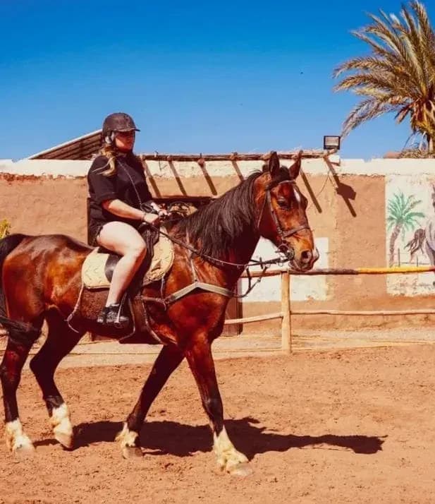 Chevalmarrakechatlaspalmeraie 5