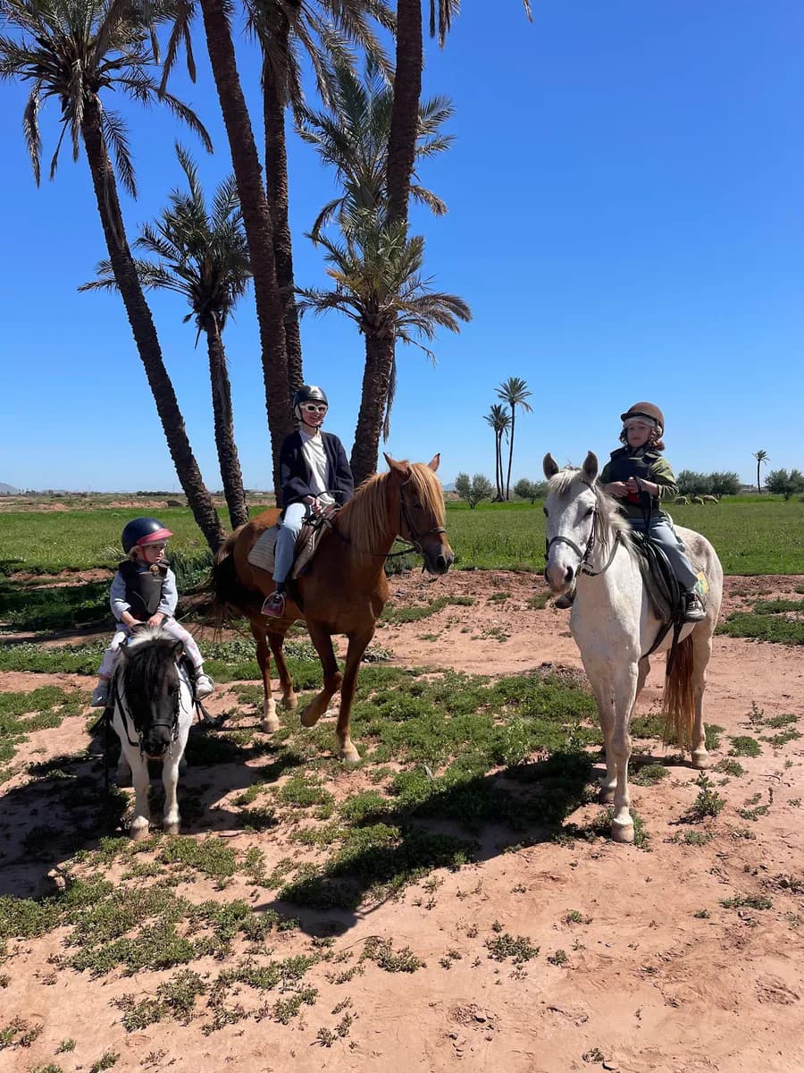 Cheval Palmeraie Marrakech 2