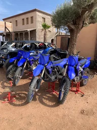Desert Ranch Adventure by Horse, Quad or Buggy