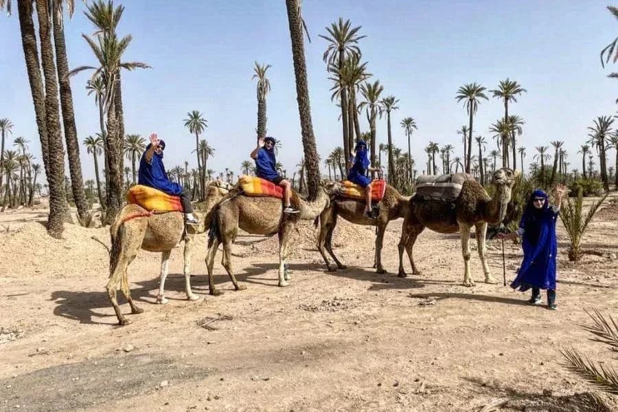 Experience Marrakech 3