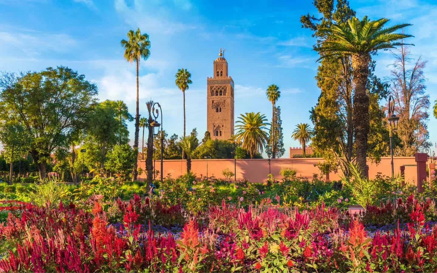 Infinite Morocco 2