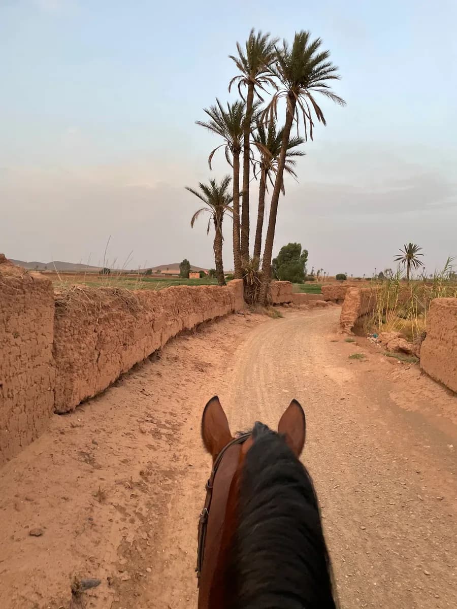 Horseback Ride Through Morocco’s Palm-Filled Countryside