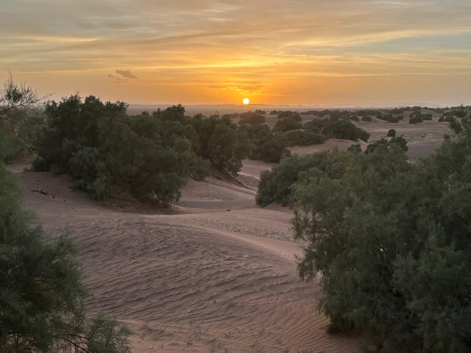 Morocco Local Guide 3