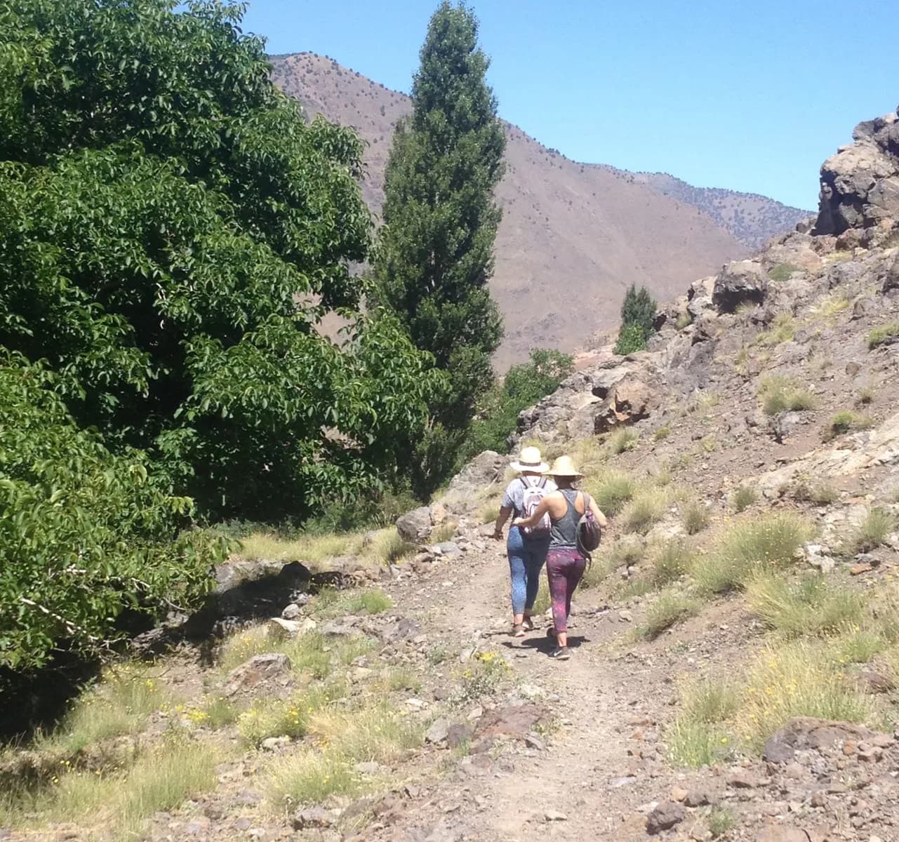 High Atlas Mountain Valley Hike