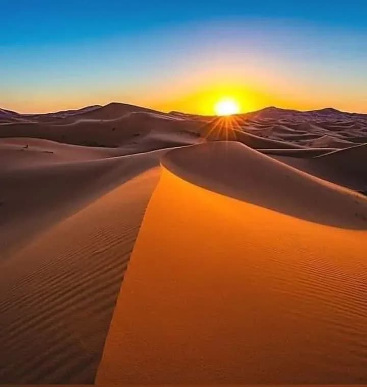 Moroccan Desert Camel Ride & Stargazing Adventure