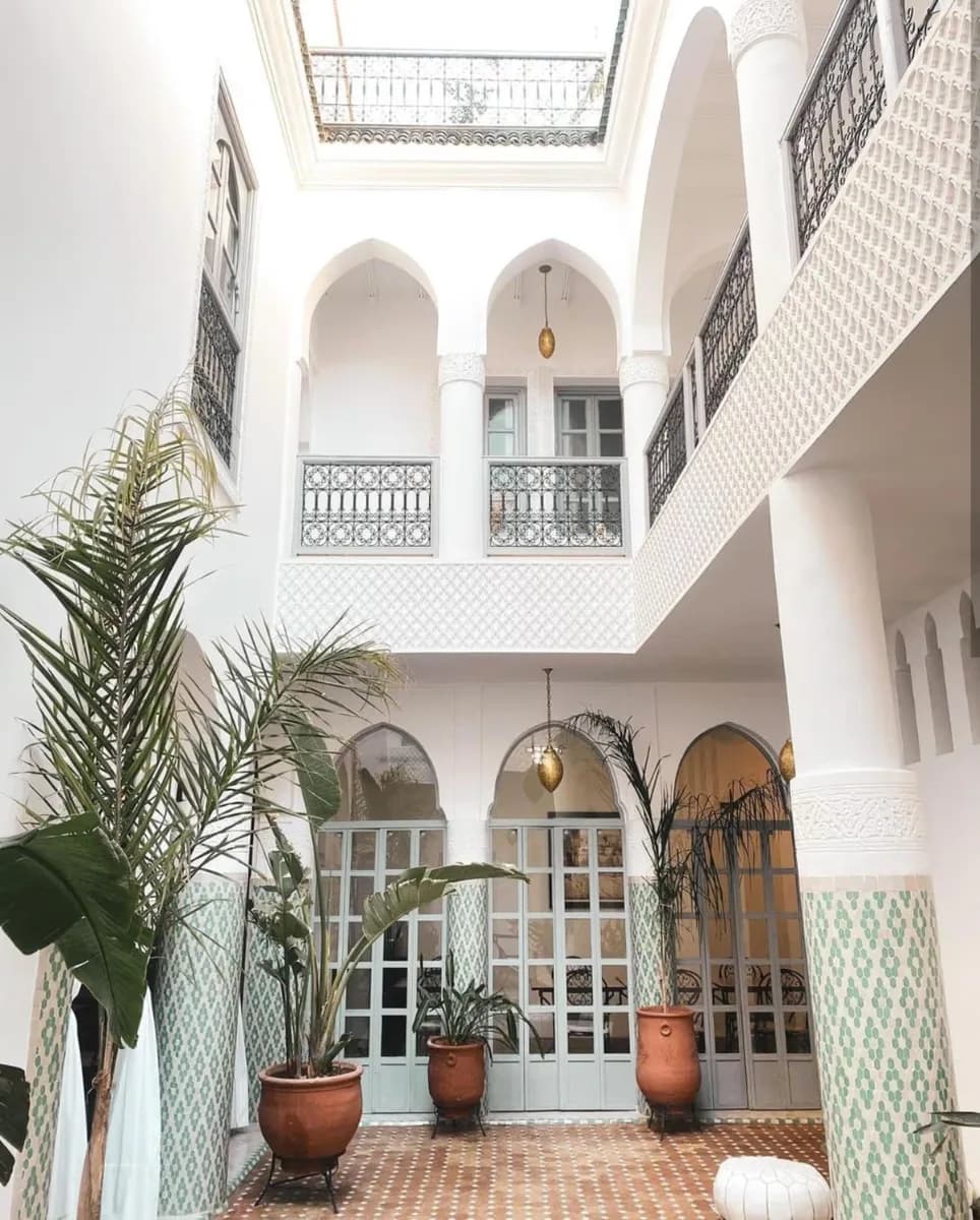 Hammamelarco 2