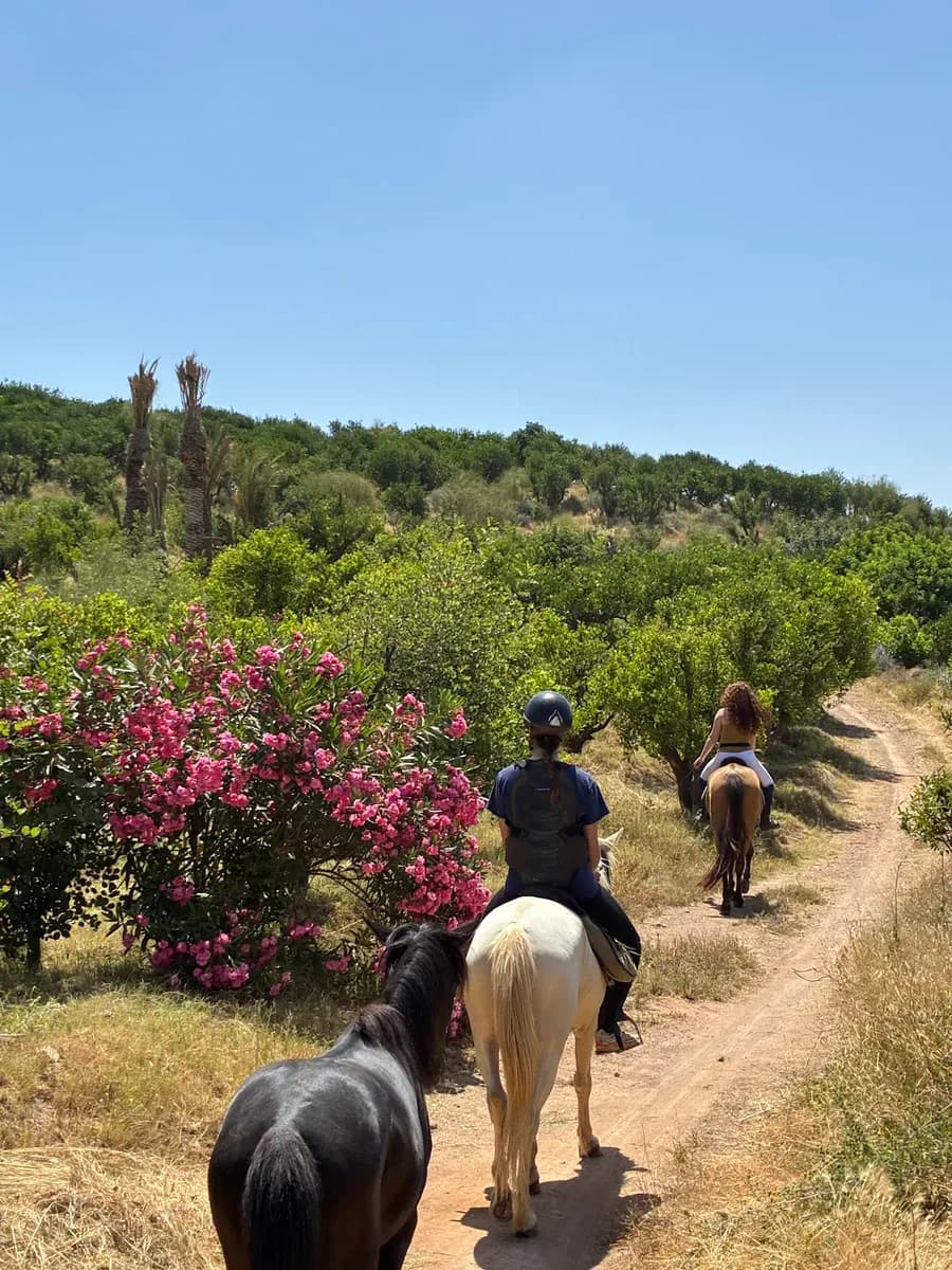 Horseback Ride Through Morocco’s Palm Groves and Countryside