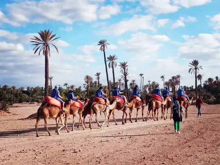 Camel Ride & Desert Buggy Adventure in Morocco