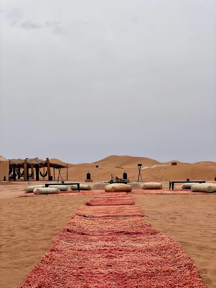 Marrakech Private Tour Guide 2