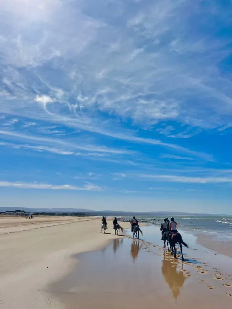 Moroccan Horseback Adventures 4