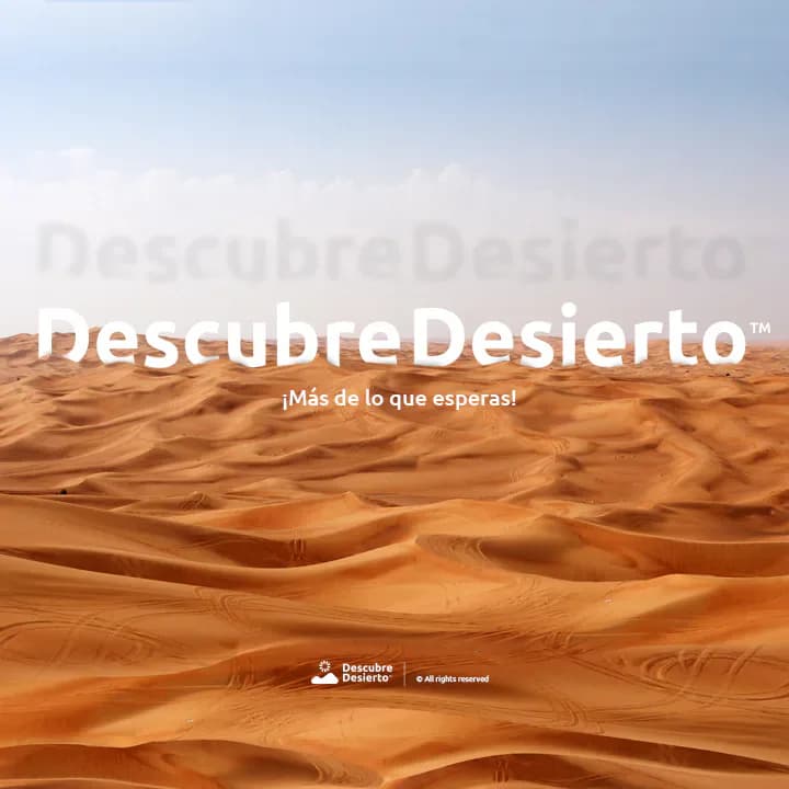 Camel Ride and Sunset Among Morocco’s Golden Dunes