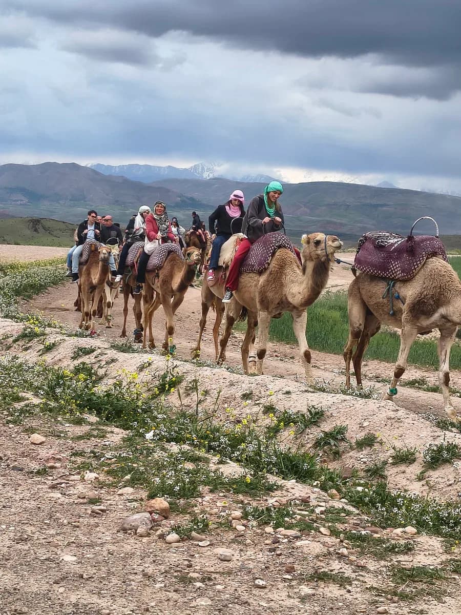 Camel Ride and Quad Bike Adventure in the Moroccan Desert