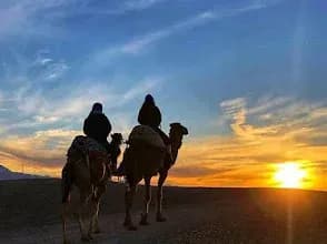 Contact Moroccoalldesert Tour 2