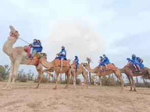 Quadmarrakechtrips 2