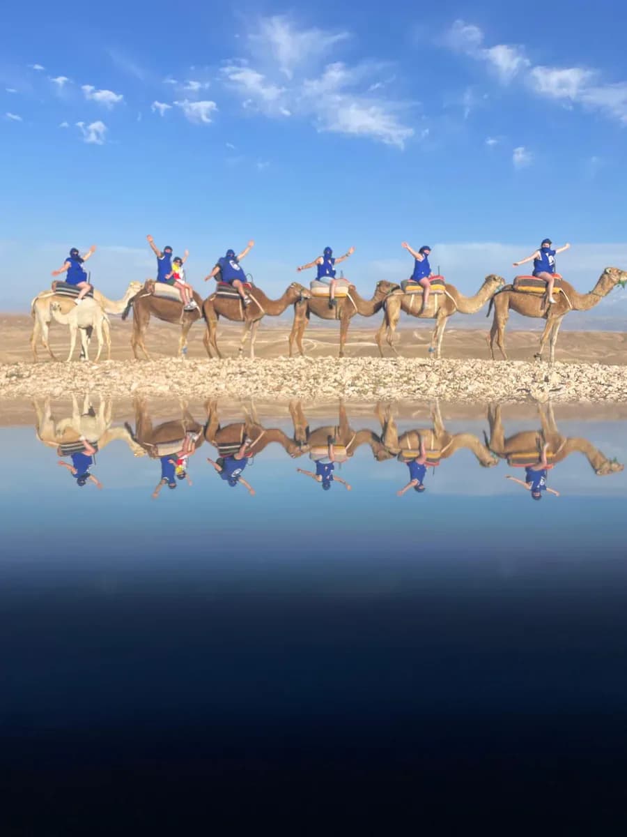 Camel Ride Palmeraie 2