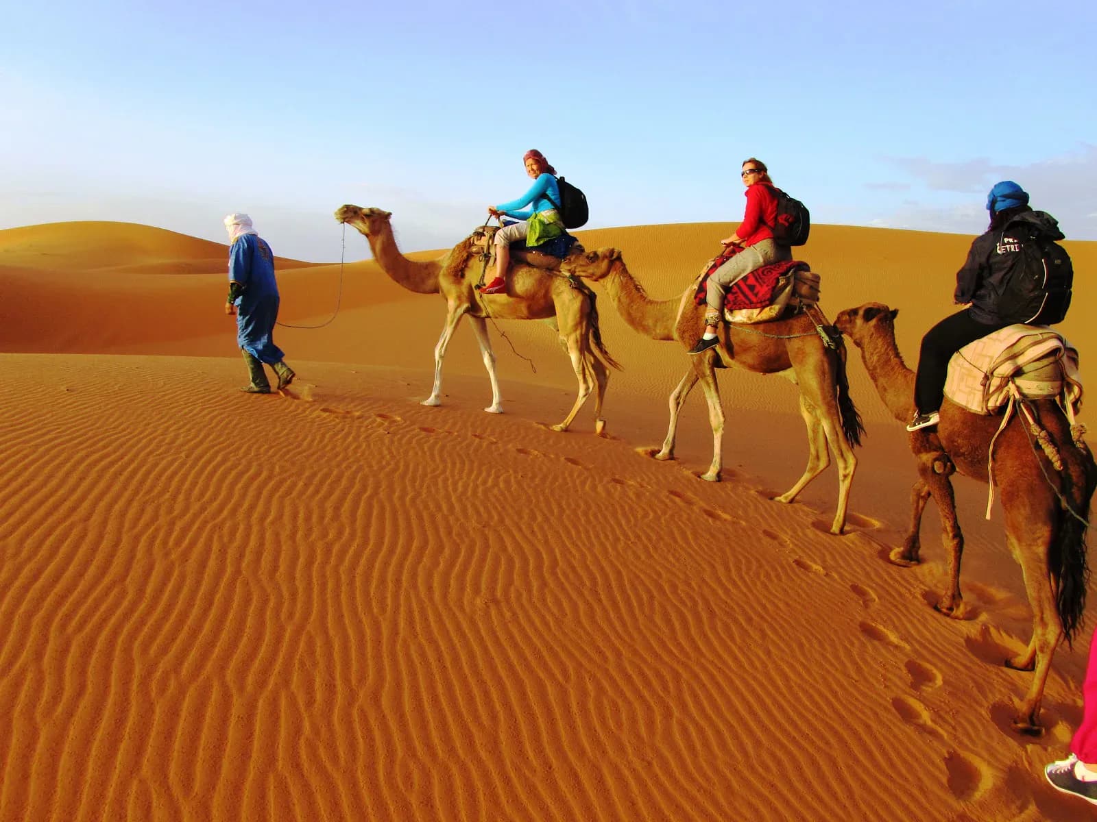 Sunset Camel Ride Through the Moroccan Desert