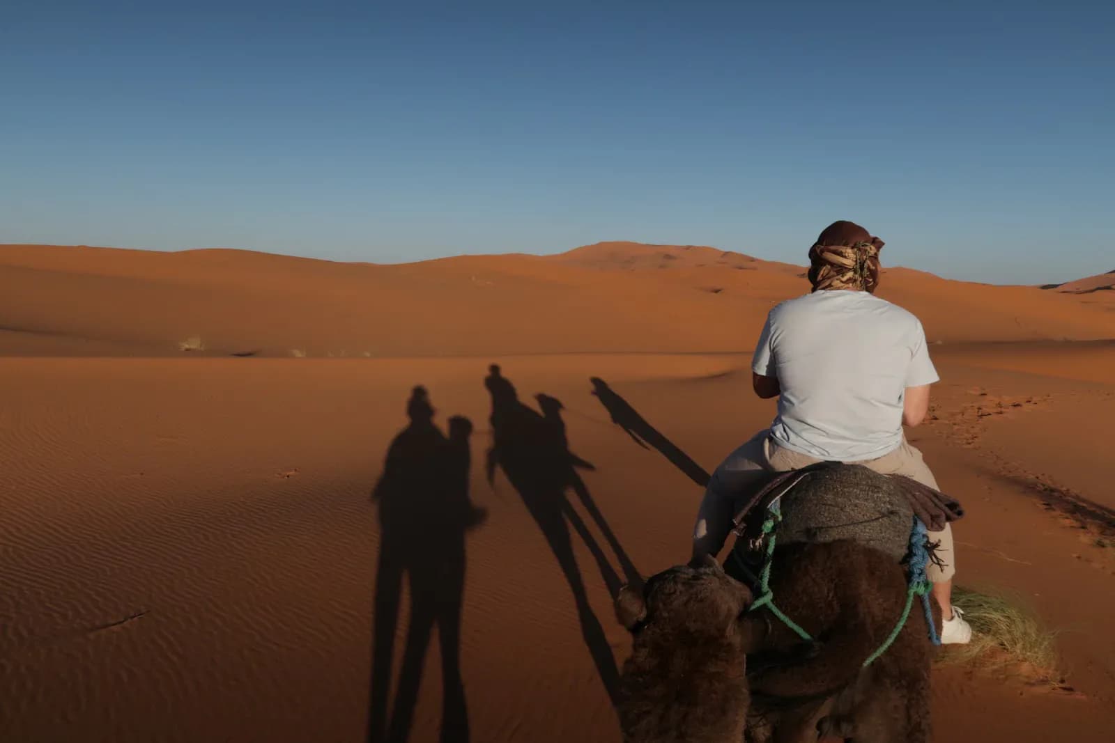 Moroccan Desert, Gorge & Oasis Adventure