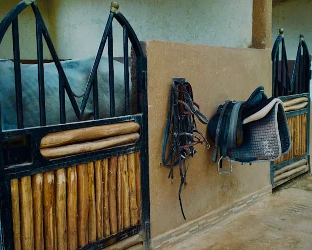 Equitationmarrakech 5