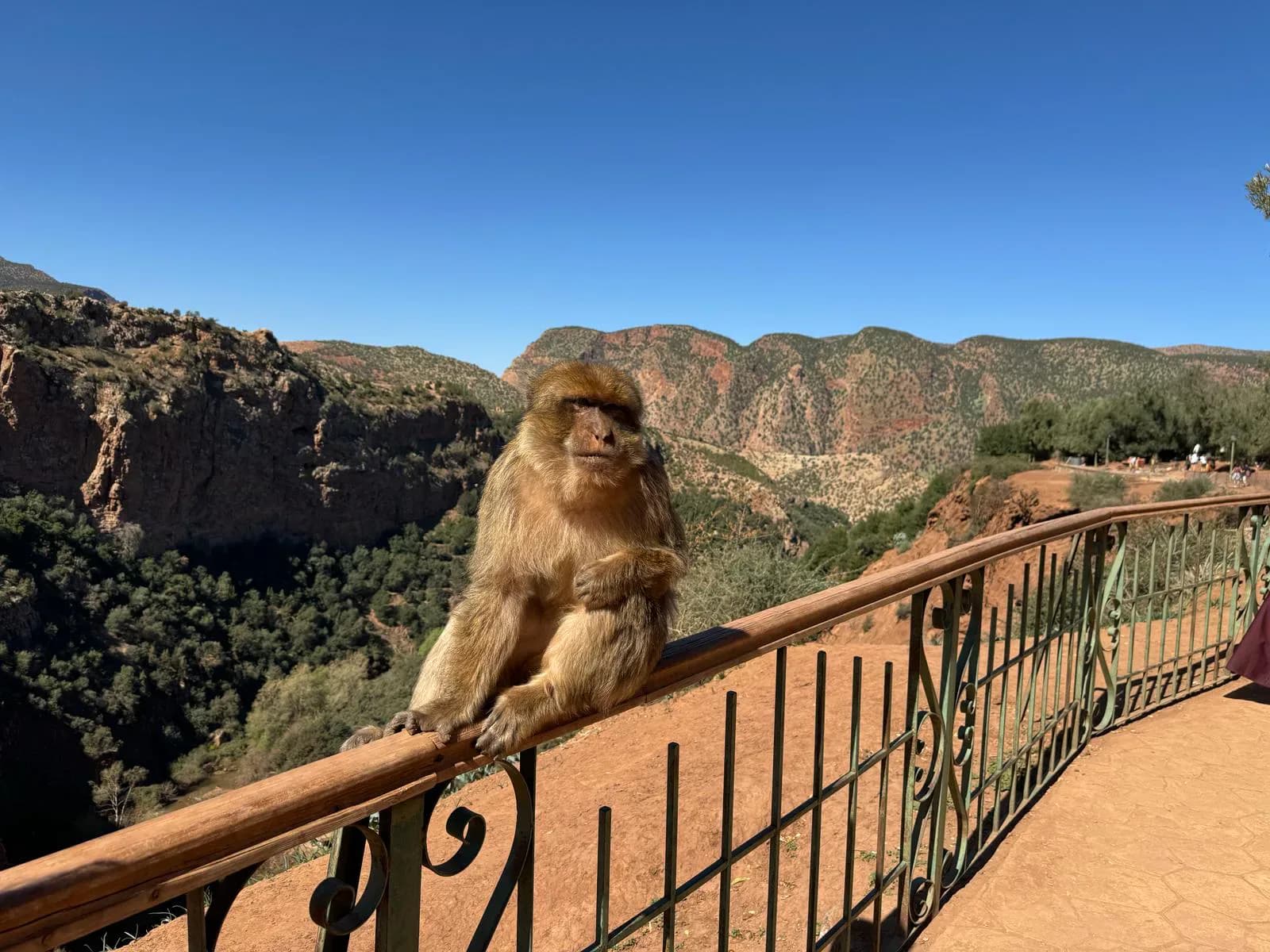 Moroccan Mountain & Atlantic Coast Discovery