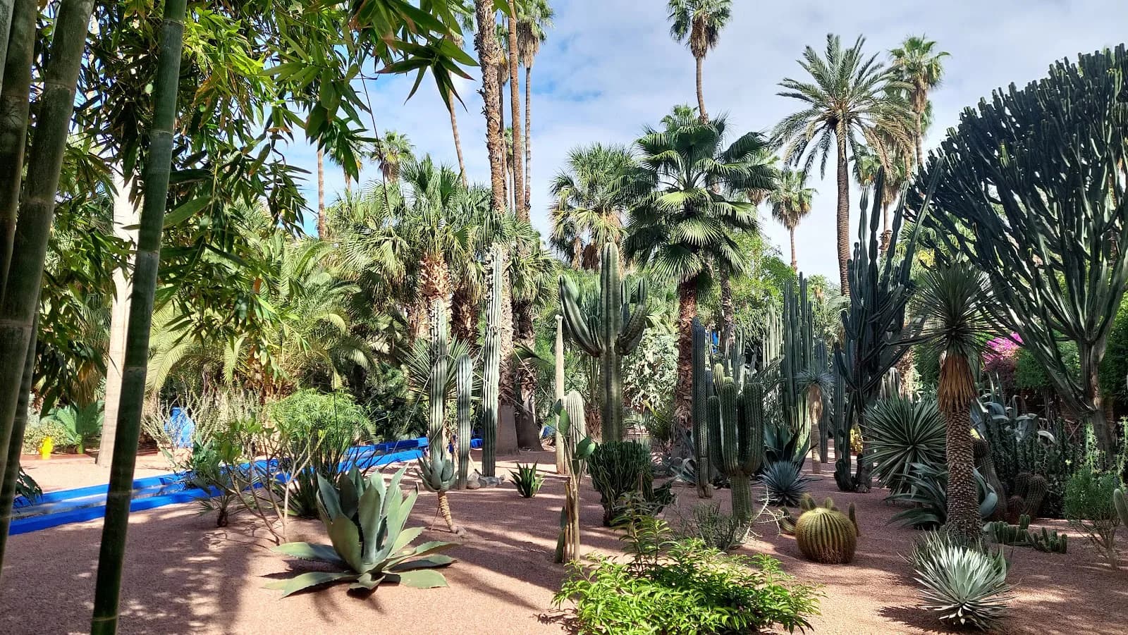 Moroccan Heritage, Gardens & Camel Adventure