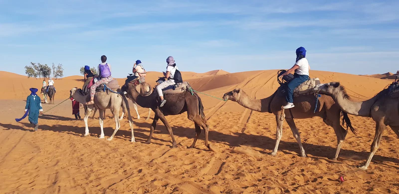 Camel Trek Across the Moroccan Sahara