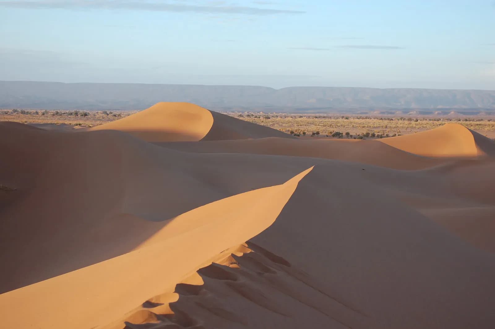 Golden Dunes, Oasis & Desert Camp Escape
