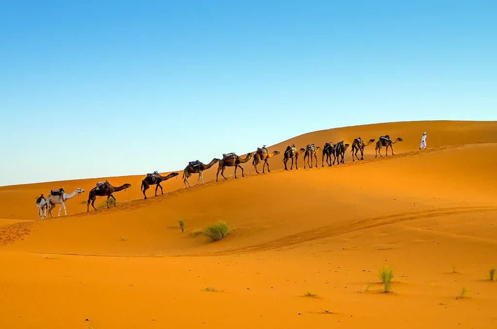 Camel Trek Across Morocco’s Desert Dunes