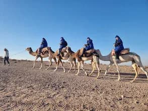 Marrakechquadtours 2