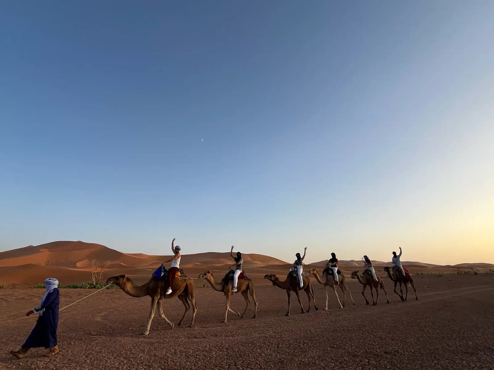 Camel Ride and Sandboarding in the Moroccan Desert