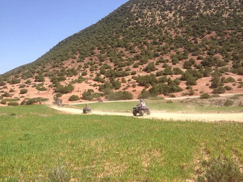 Moroccan Desert Quad Bike & Camel Adventure