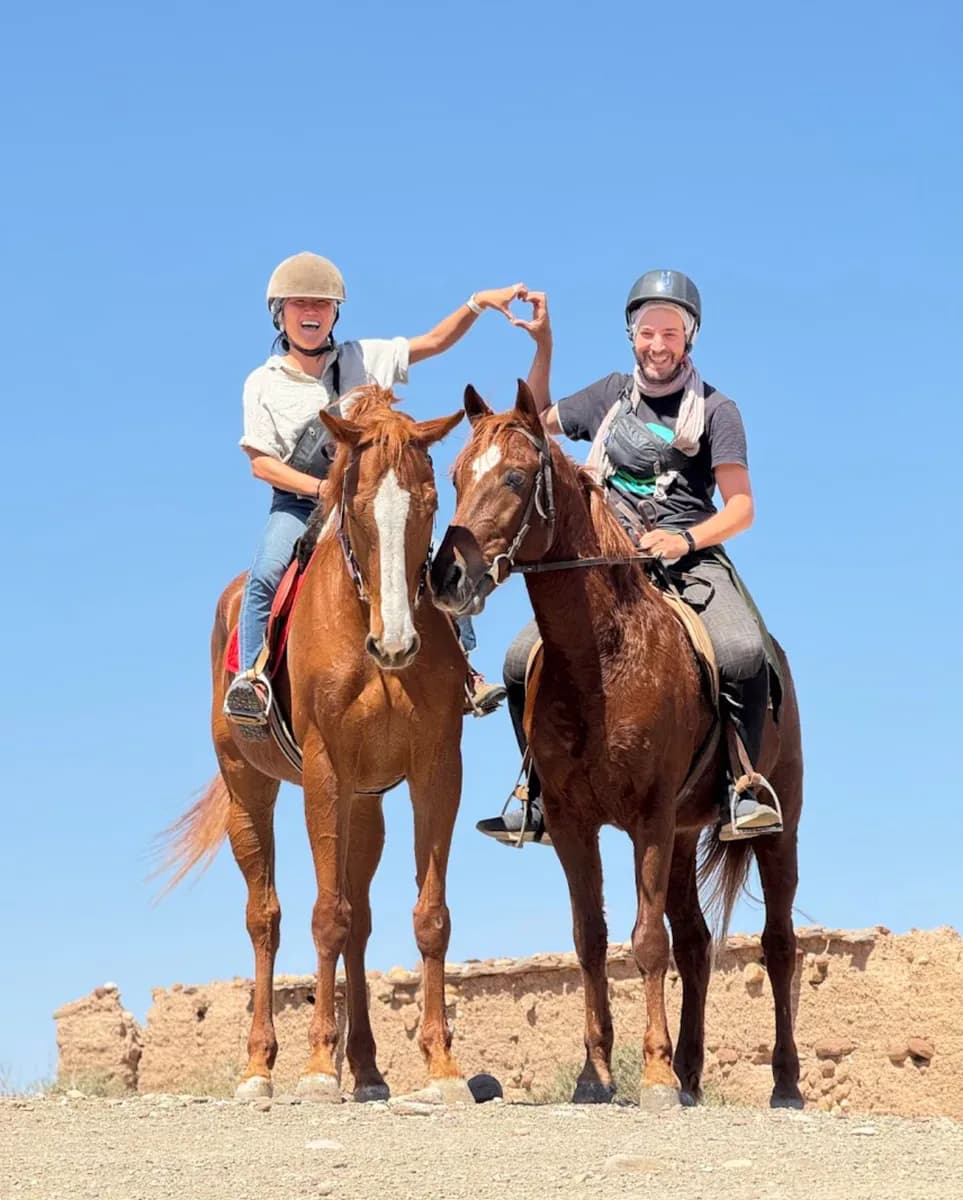 Black Stallion Horse Riding 4